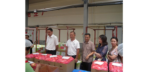 《綠色食品品質(zhì)、營(yíng)業(yè)功能評(píng)價(jià)標(biāo)準(zhǔn)課題》調(diào)研在棲霞德豐開(kāi)展