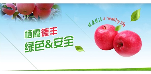 首批農(nóng)業(yè)國際貿(mào)易高質(zhì)量發(fā)展基地名單公布！